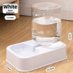 Ensemble croquettes et eau du distributeur extérieur