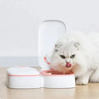 Bol et réservoir de la gamelle chat à ouverture programmée
