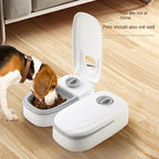 Gamelle programmable chat avec minuterie vue de face