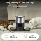 Chien nourri par son distributeur automatique wifi