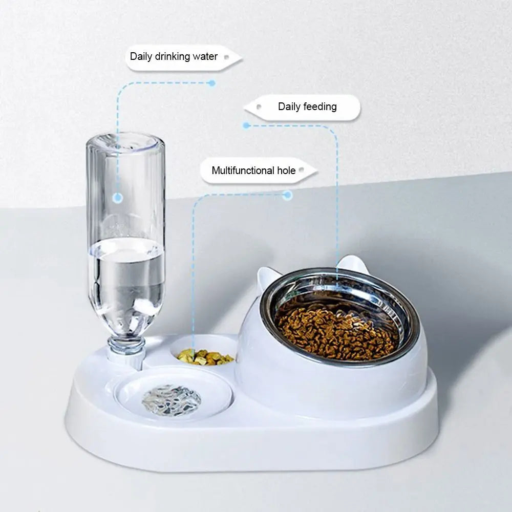 Chat utilisant sa gamelle distributeur 2-en-1