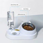 Chat utilisant sa gamelle distributeur 2-en-1