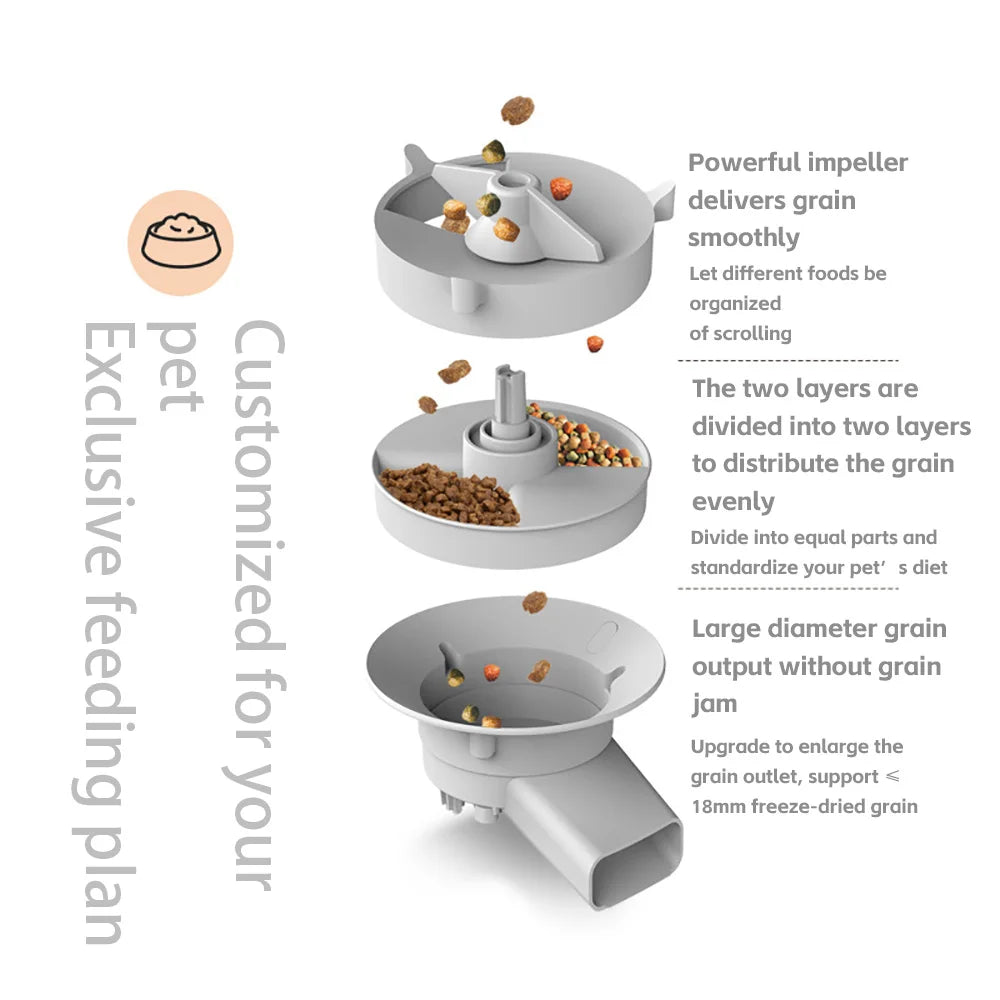 Caméra vidéo du distributeur de croquettes 5 litres pour chat