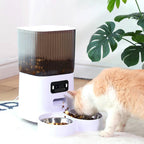 Caméra et enregistreur vocal du distributeur 5L pour deux chats
