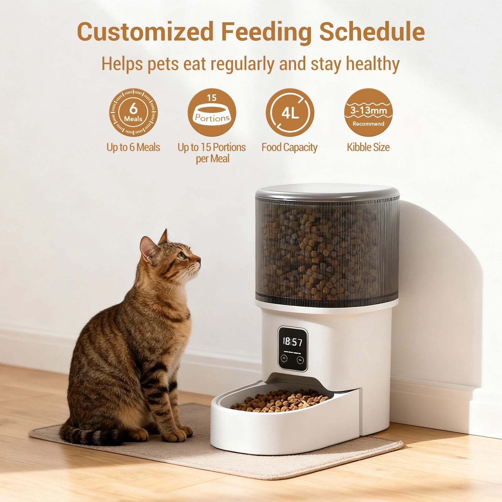 Programmation 6 repas par jour du distributeur grande autonomie