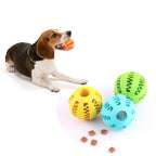 Chat jouant avec sa balle à friandises