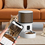Distributeur wifi de croquettes pour chat avec contrôle par application