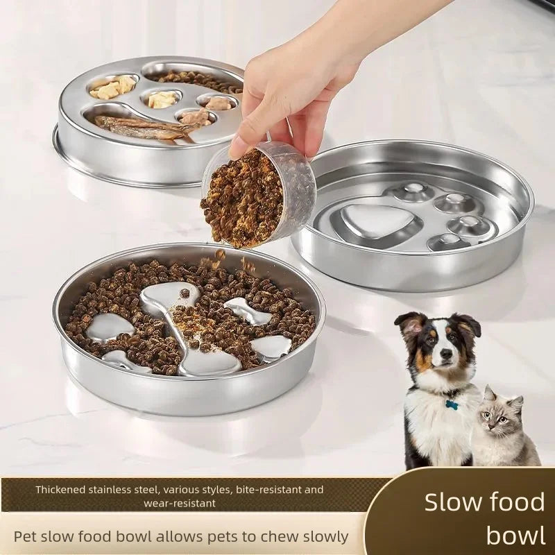 Chien mangeant lentement dans sa gamelle inox anti glouton