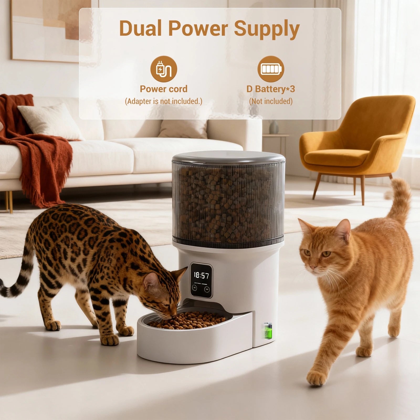 Distributeur croquettes chat 1 semaine 4L vue de face