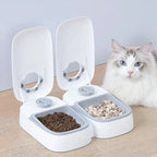 Minuterie de la gamelle programmable pour chat